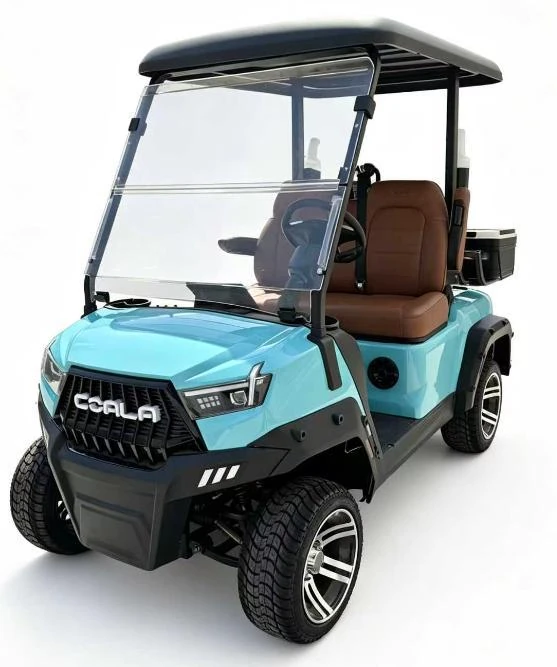 B-1 2-Seater Electric Golf Cart